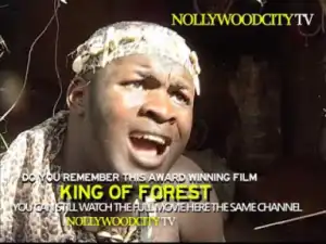 King Of The Forest - 2019